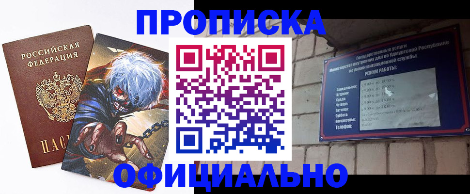 прописка для школы в Луге